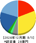 アイ・ピー・エス 貸借対照表 2024年12月期