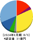 ＧＳＩ 貸借対照表 2024年6月期