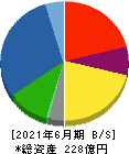 日本アビオニクス 貸借対照表 2021年6月期