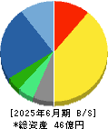 ブロードマインド 貸借対照表 2025年6月期