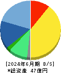 ブロードマインド 貸借対照表 2024年6月期 ブロードマインド 貸借対照表 2024年6月期