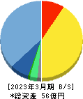 ダブルスタンダード 貸借対照表 2023年3月期 ダブルスタンダード 貸借対照表 2023年3月期