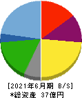 NATTY SWANKYホールディングス 貸借対照表 2021年6月期 NATTY SWANKYホールディングス 貸借対照表 2021年6月期