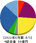 ウェルビー 貸借対照表 2022年6月期