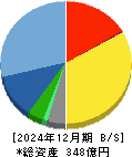インターメスティック 貸借対照表 2024年12月期 インターメスティック 貸借対照表 2024年12月期