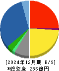 ＤＮホールディングス 貸借対照表 2024年12月期