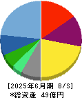 プロジェクトホールディングス 貸借対照表 2025年6月期