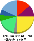 ホットリンク 貸借対照表 2020年12月期 ホットリンク 貸借対照表 2020年12月期