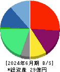 ニューラルグループ 貸借対照表 2024年6月期