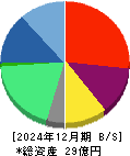 ニューラルグループ 貸借対照表 2024年12月期 ニューラルグループ 貸借対照表 2024年12月期