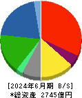 ＶＴホールディングス 貸借対照表 2024年6月期