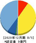 ヘッドウォータース 貸借対照表 2020年12月期 ヘッドウォータース 貸借対照表 2020年12月期