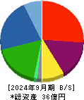 ＳＤＳホールディングス 貸借対照表 2024年9月期