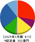 ウイルプラスホールディングス 貸借対照表 2025年3月期