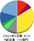 ソルクシーズ 貸借対照表 2022年6月期