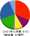 TRUCK-ONE 貸借対照表 2021年12月期 TRUCK-ONE 貸借対照表 2021年12月期