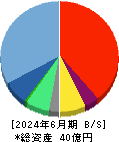 ｉ－ｐｌｕｇ 貸借対照表 2024年6月期