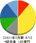 わかもと製薬 貸借対照表 2021年3月期