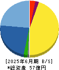 トライアイズ 貸借対照表 2025年6月期