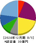 トヨコー 貸借対照表 2024年12月期