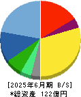 ＣＥホールディングス 貸借対照表 2025年6月期