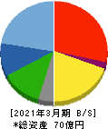 平賀 貸借対照表 2021年3月期