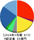 テリロジーホールディングス 貸借対照表 2024年3月期 テリロジーホールディングス 貸借対照表 2024年3月期