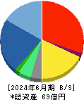 テリロジーホールディングス 貸借対照表 2024年6月期
