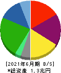 パン・パシフィック・インターナショナルホールディングス 貸借対照表 2021年6月期 パン・パシフィック・インターナショナルホールディングス 貸借対照表 2021年6月期
