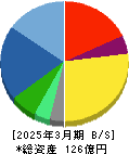 ＣＥホールディングス 貸借対照表 2025年3月期