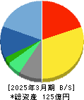 ソルクシーズ 貸借対照表 2025年3月期