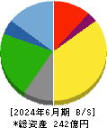 サガミホールディングス 貸借対照表 2024年6月期