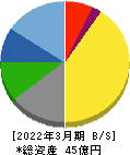 NFKホールディングス 貸借対照表 2022年3月期 NFKホールディングス 貸借対照表 2022年3月期