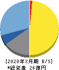 テクノマセマティカル 貸借対照表 2020年3月期 テクノマセマティカル 貸借対照表 2020年3月期