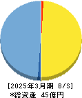 ノイルイミューン・バイオテック 貸借対照表 2025年3月期