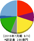 日本駐車場開発 貸借対照表 2019年7月期 日本駐車場開発 貸借対照表 2019年7月期