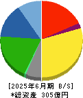 竹田ｉＰホールディングス 貸借対照表 2025年6月期