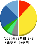 ブロードマインド 貸借対照表 2024年12月期
