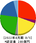 神島化学工業 貸借対照表 2022年4月期