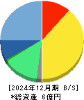 ｖｉｓｕｍｏ 貸借対照表 2024年12月期