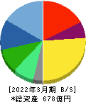 三井松島ホールディングス 貸借対照表 2022年3月期 三井松島ホールディングス 貸借対照表 2022年3月期