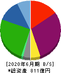 テスホールディングス 貸借対照表 2020年6月期 テスホールディングス 貸借対照表 2020年6月期
