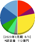 ＣＥホールディングス 貸借対照表 2023年3月期