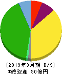 エコナックホールディングス 貸借対照表 2019年3月期