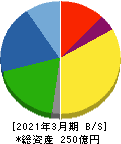 ニッポン高度紙工業 貸借対照表 2021年3月期