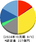 ｇｕｍｉ 貸借対照表 2024年10月期