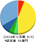 ダブルスタンダード 貸借対照表 2024年12月期