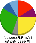 東京テアトル 貸借対照表 2022年3月期 東京テアトル 貸借対照表 2022年3月期