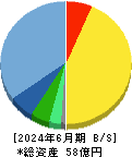 ダブルスタンダード 貸借対照表 2024年6月期
