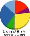 池上通信機 貸借対照表 2021年3月期 池上通信機 貸借対照表 2021年3月期